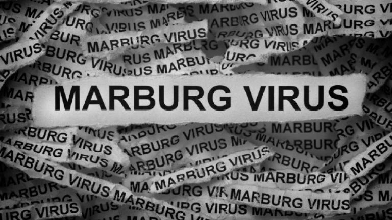 WHO confirms Marburg disease outbreak: Symptoms to know