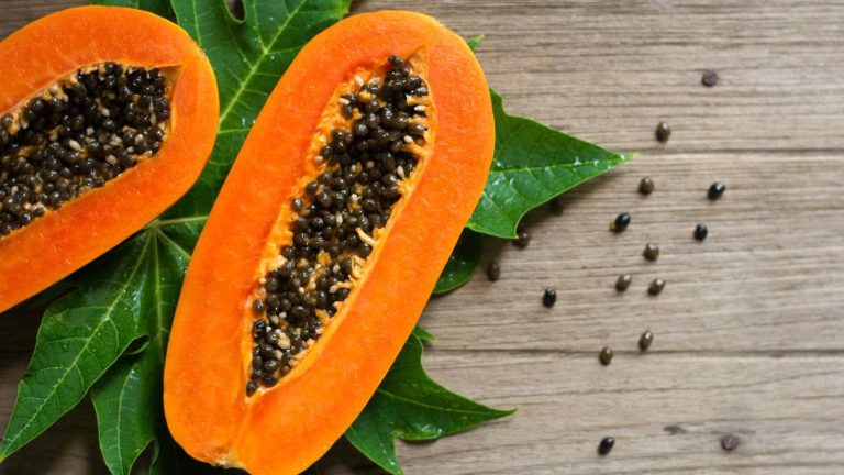 7 health benefits of papaya seeds