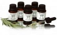 How to choose an essential oil – The Beauty Biz