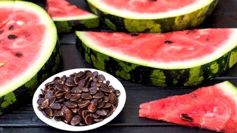 Benefits of watermelon seeds you should know