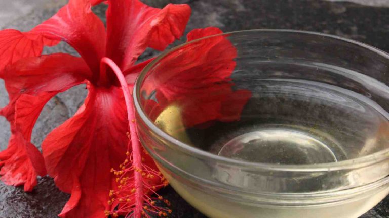 5 ways to use hibiscus for hair: Fix dandruff, dryness and more