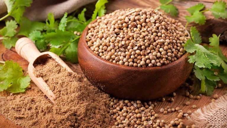 Know how coriander seeds can do wonders for diabetes