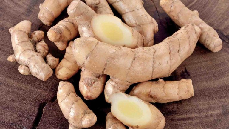 Know the health benefits and uses of white turmeric