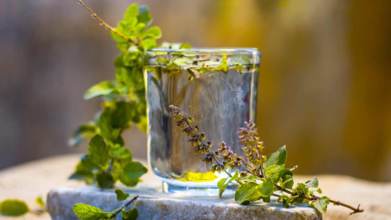Tulsi water: 8 health benefits of drinking it every day