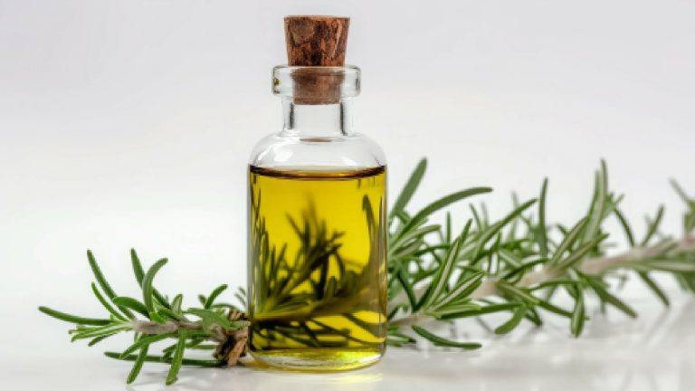 5 best plant based scalp oils for healthy hair
