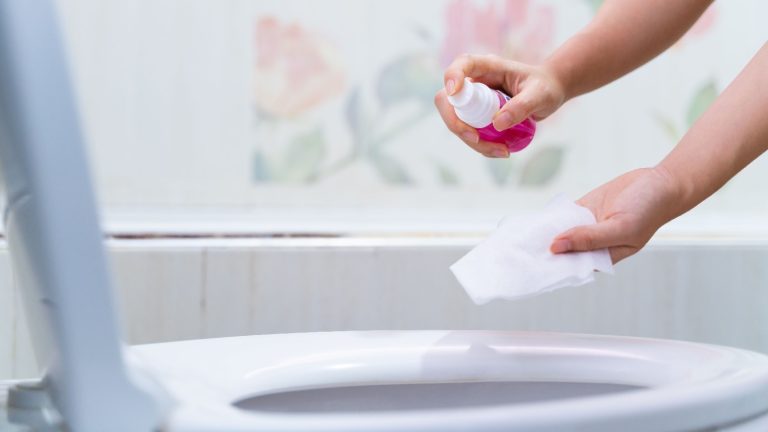 Toilet seat sanitizer spray: 5 top picks to reduce risk of infections