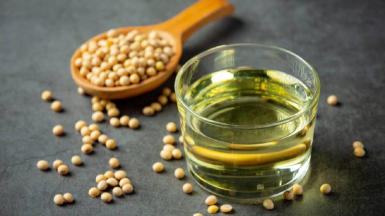 Seed oils for healthy gut: What are they and how are they useful