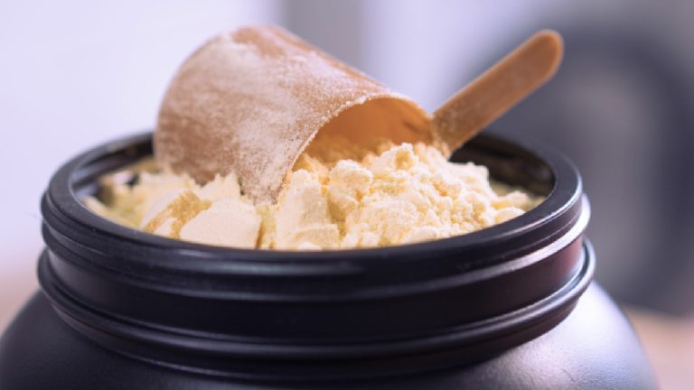 5 best casein protein powders in India