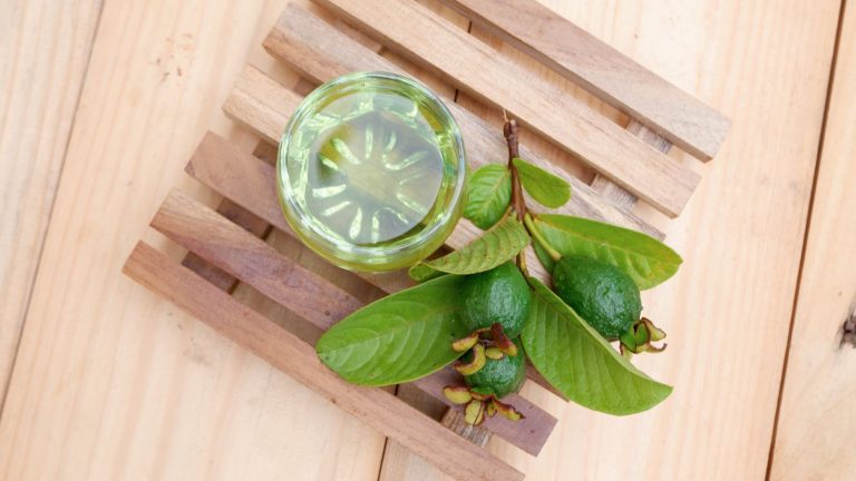 How to use guava leaf tea for diabetes?