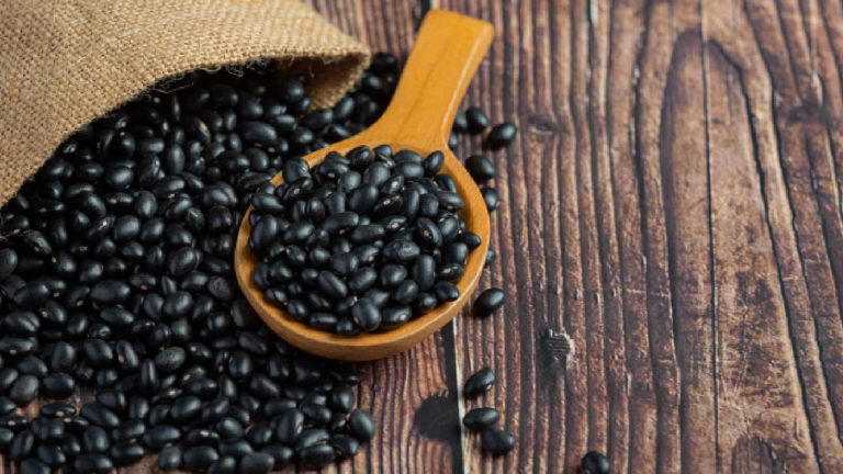 Black Beans: Health Benefits, Side Effects and How to use it
