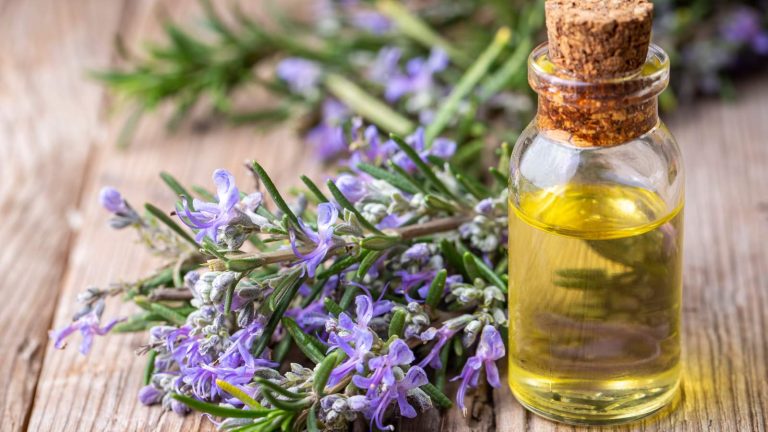 Best rosemary oil for silky and smooth hair: Top 5 picks!