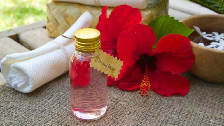 5 best hibiscus shampoo for hair growth