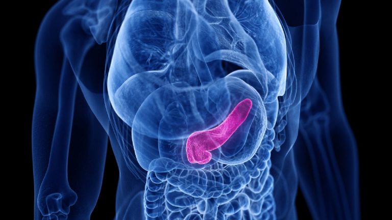 9 effective tips to keep pancreas healthy