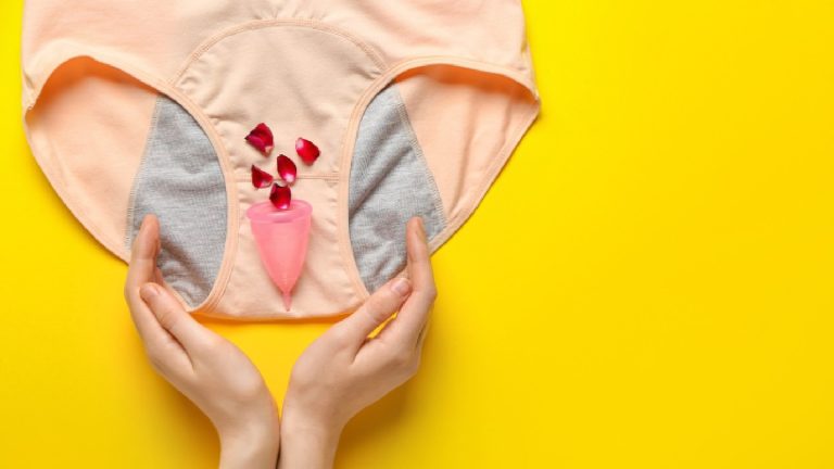 5 best disposable period panties for comfort