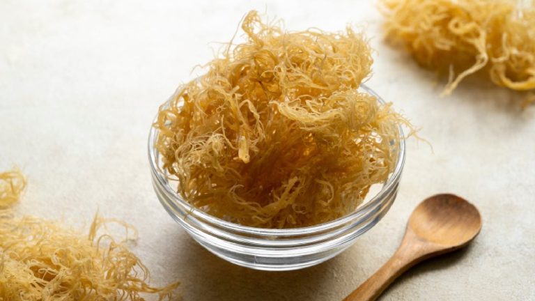 Sea Moss: What is it, Benefits, How to eat