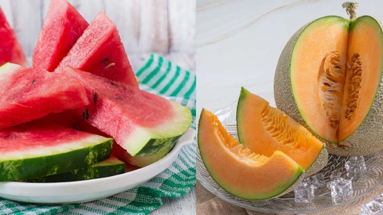 Watermelon vs muskmelon: Which fruit hydrates you better?