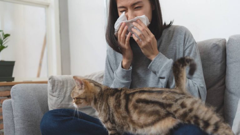 Pet allergy: Symptoms, Causes and How to live with it