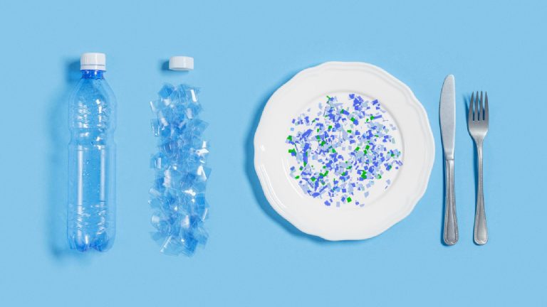 World Environment Day: How microplastics affect gut health