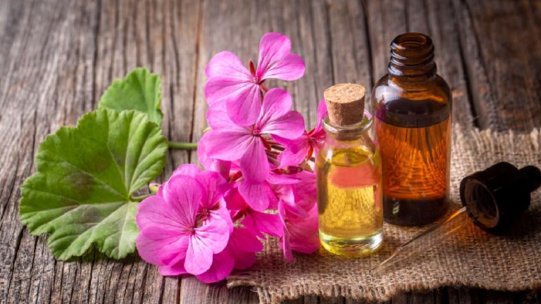Geranium oil for hair: 5 ways to use it