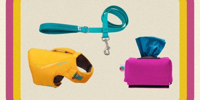 All the Gear You Need to Take Your Dog on Your Next Outdoor Adventure