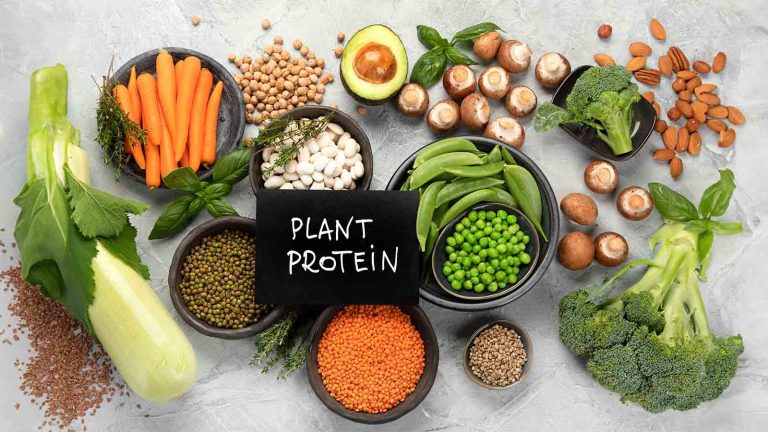 7 benefits of plant protein and its sources