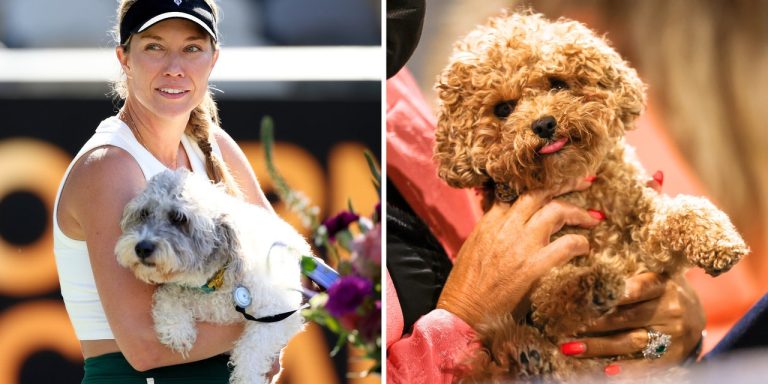 How These Super Cute Dogs Are Helping US Open Competitors With Their Mental Game