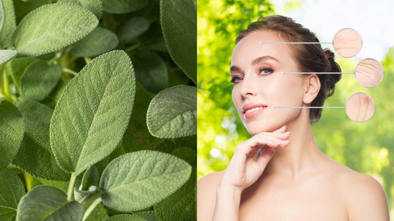 Sage for skin: 7 ways to reduce ageing signs